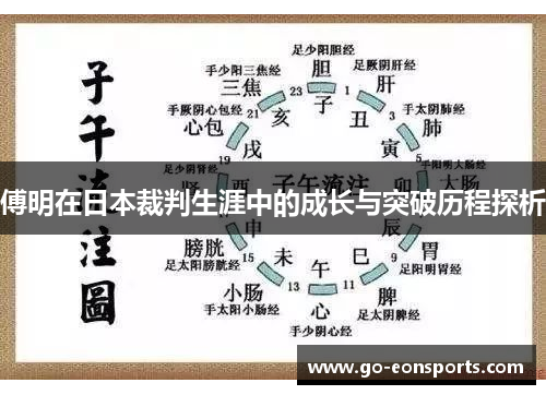 傅明在日本裁判生涯中的成长与突破历程探析