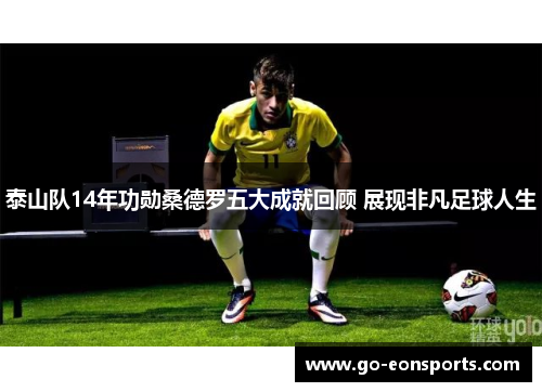 泰山队14年功勋桑德罗五大成就回顾 展现非凡足球人生