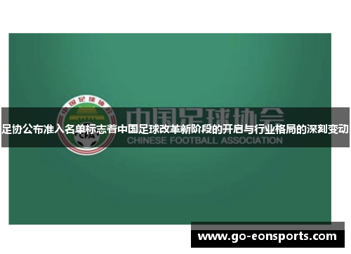 足协公布准入名单标志着中国足球改革新阶段的开启与行业格局的深刻变动 足协公布准入名单标志着中国足球改革新阶段的开启与行业格局的深刻变动