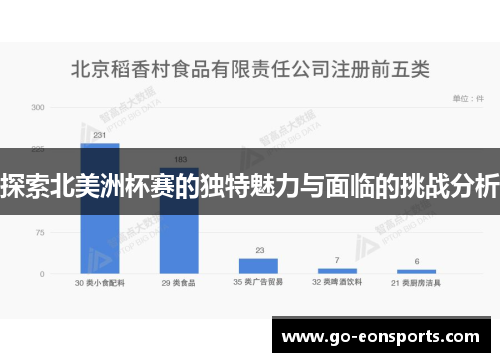 探索北美洲杯赛的独特魅力与面临的挑战分析