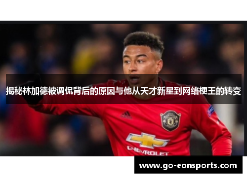 揭秘林加德被调侃背后的原因与他从天才新星到网络梗王的转变