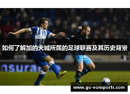 如何了解加的夫城所属的足球联赛及其历史背景 如何了解加的夫城所属的足球联赛及其历史背景